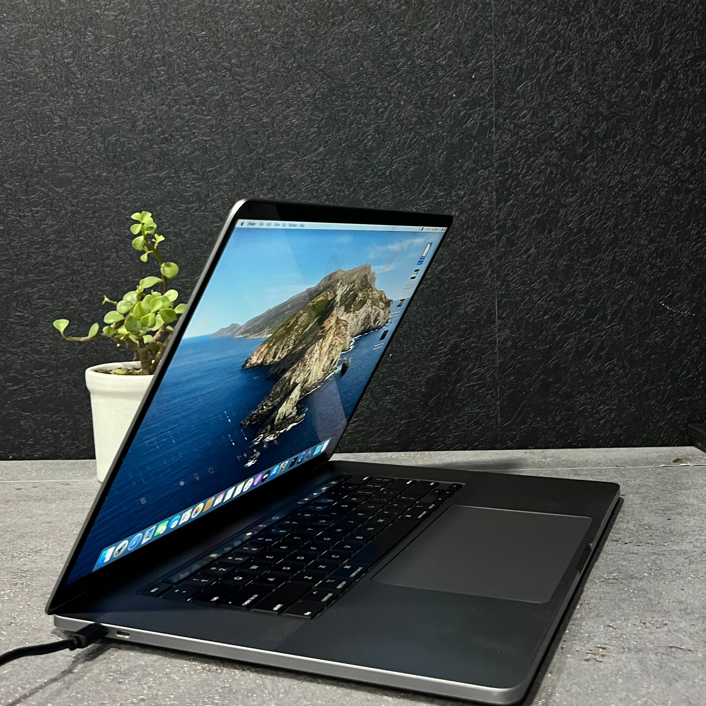 Laptop on a desk with a scenic wallpaper, plant, and vinyl record in the background.