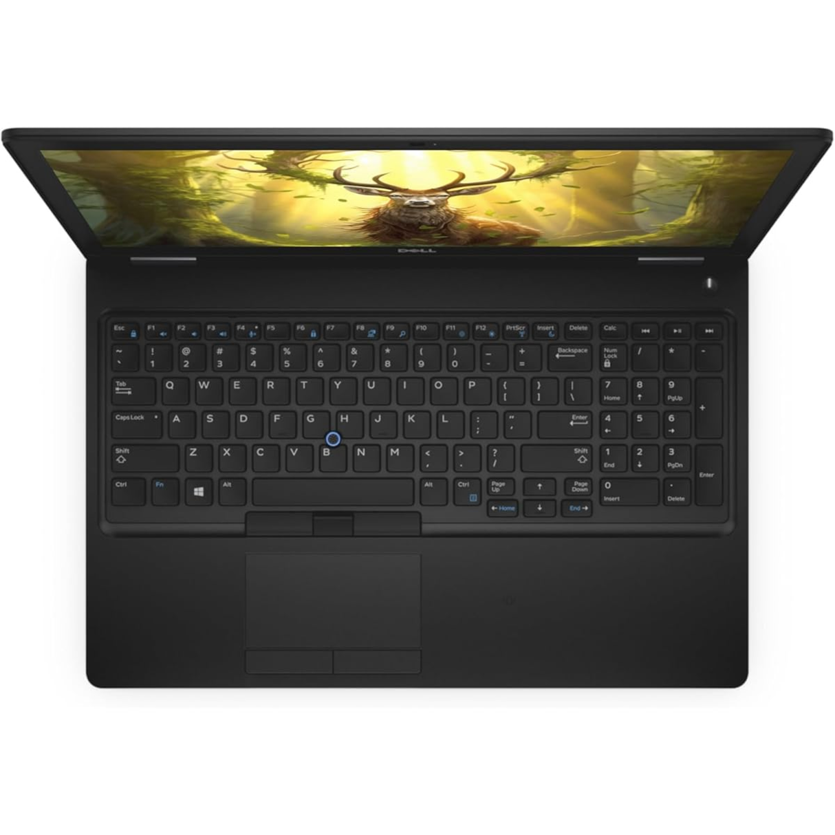 Dell Latitude 5591 Intel Core I7 8th Gen 15.6 inch FHD Display Laptop Windows 11 With Ms Office 2016 (Refurished)