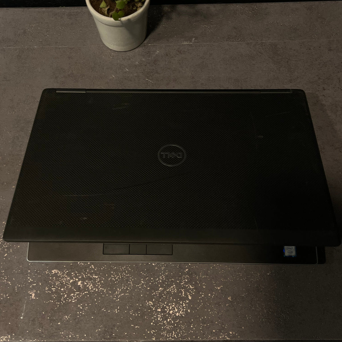 Black Dell laptop on a dark surface with a plant to the left
