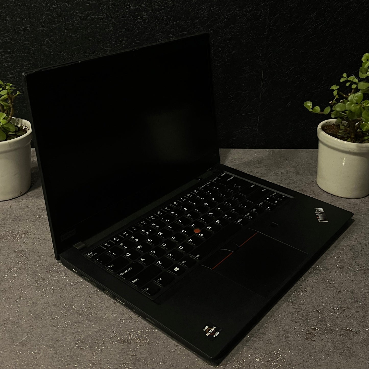 Lenovo Thinkpad T495 AMD Ryzen 5 PRO 14" HD Display Gaming Laptop Windows 10 With MS Office 2016 (Renewed)