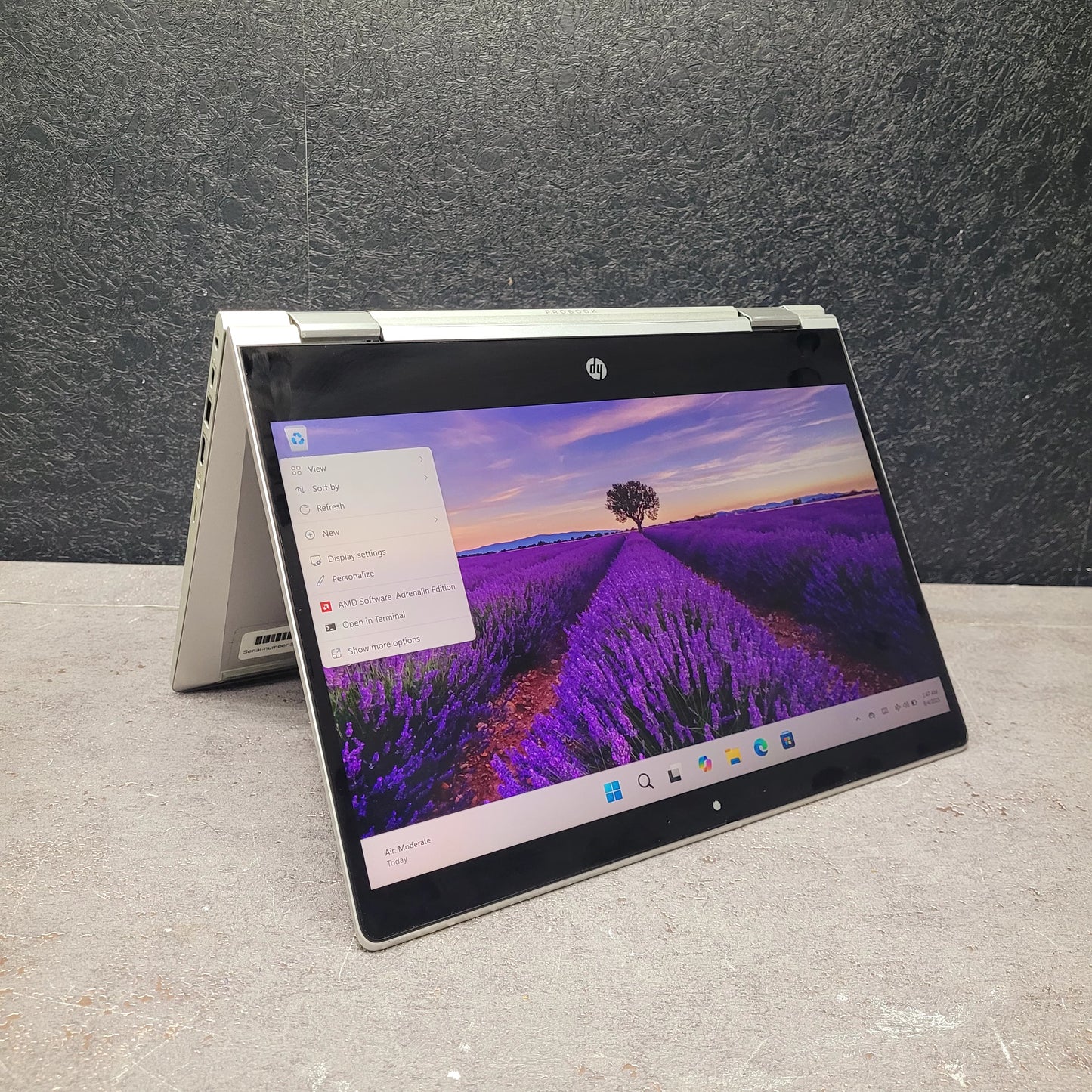 Renewed -HP ProBook x360 435 G8 AMD Ryzen 7 Pro 5850U 13.3 inch FHD TouchScreen 2 in 1 Laptop Windows 11